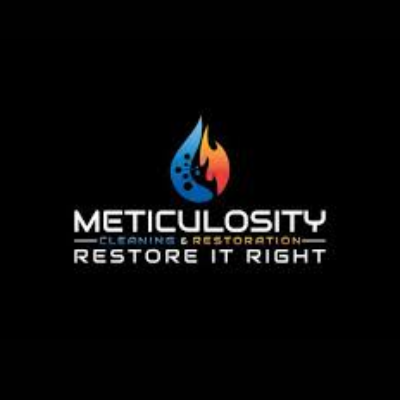 Meticulosity Cleaning