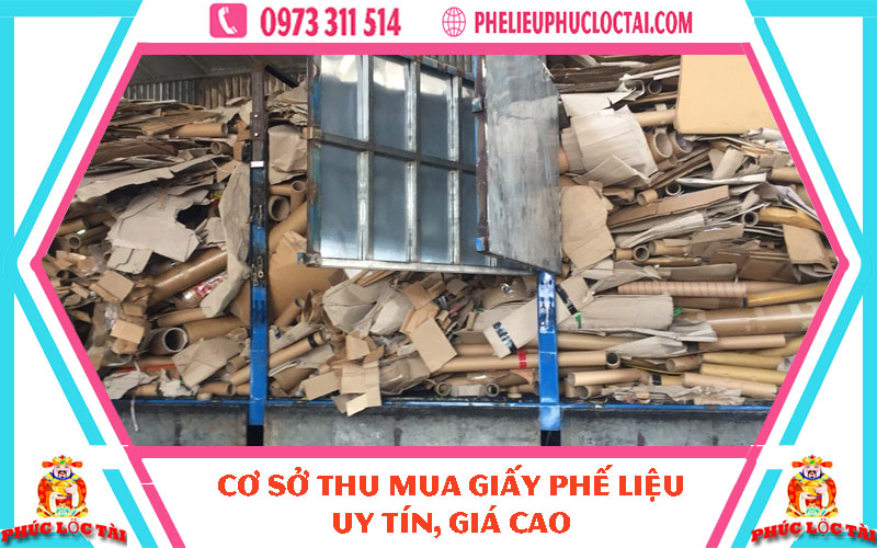 Thu mua phế liệu Giấy - Phúc lộc Tài