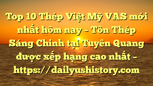 Top 10 Thép Việt Mỹ VAS mới nhất hôm nay – Tôn Thép Sáng Chinh tại Tuyên Quang  được xếp hạng cao nhất – https://dailyushistory.com